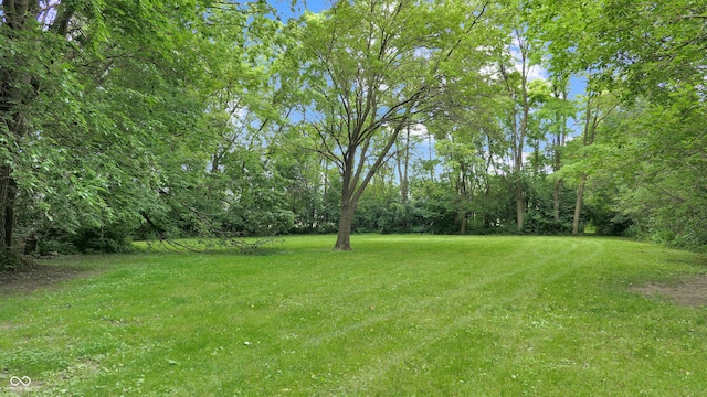 8818 Mathews Rd, Indianapolis, IN 46259 - view of grassy yard