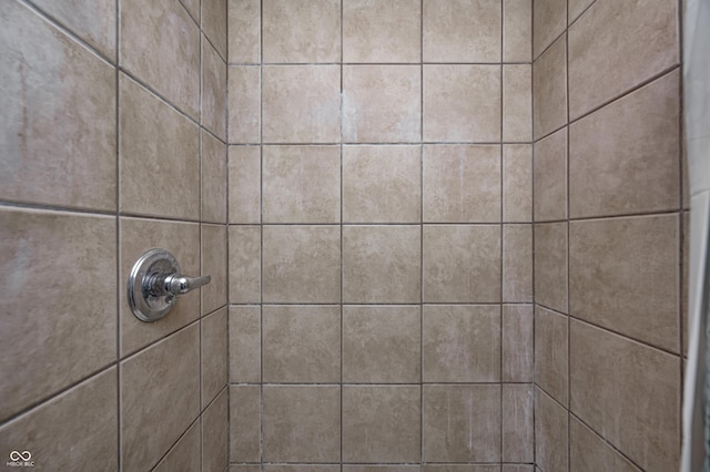 6143 Schoolwood Dr, Indianapolis, IN 46224 - bathroom view of tiled shower
