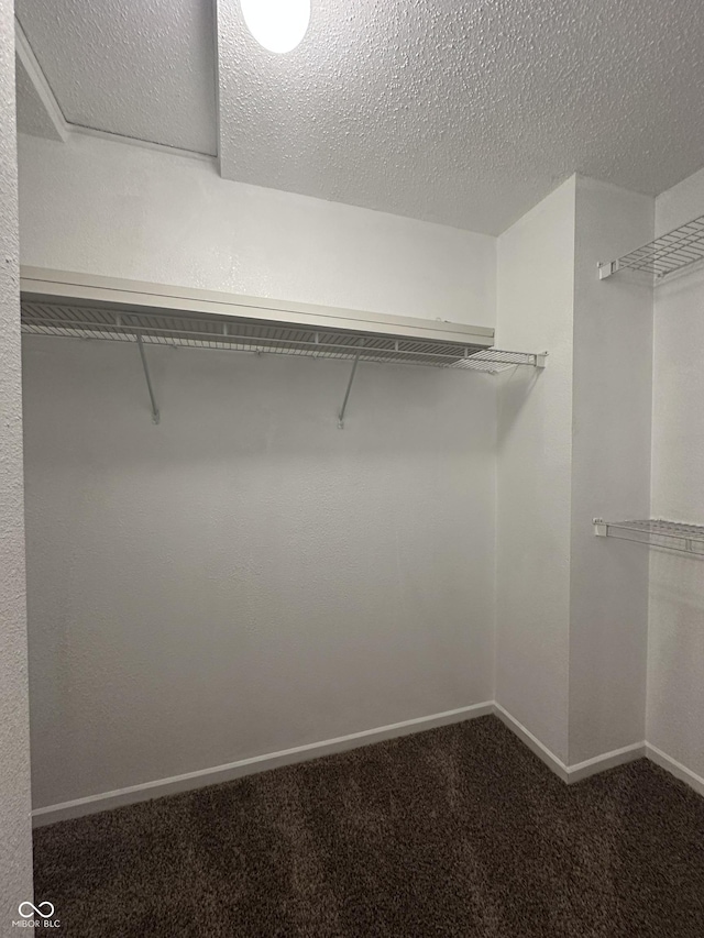 12639 Justice Xing, Fishers, IN 46037 - spacious closet featuring dark colored carpet