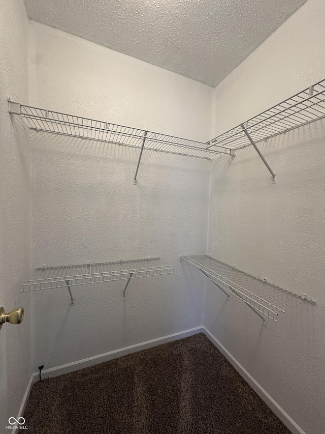 12639 Justice Xing, Fishers, IN 46037 - walk in closet featuring carpet