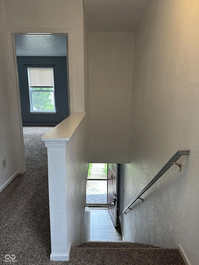 12639 Justice Xing, Fishers, IN 46037 - staircase featuring a textured wall, carpet, and a textured ceiling
