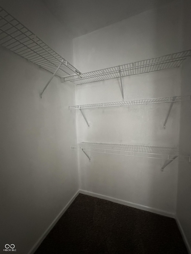 12639 Justice Xing, Fishers, IN 46037 - view of spacious closet