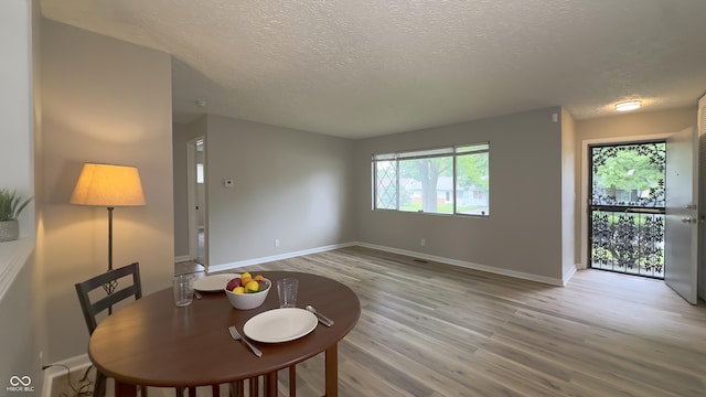 3019 E Berwyn St, Indianapolis, IN 46203 - dining space with a textured ceiling, light wood-style floors, and healthy amount of natural light