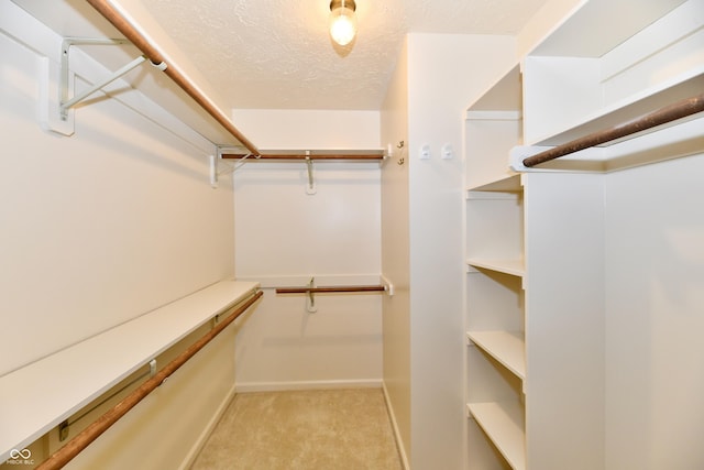 6965 Steinmeier Dr W, Indianapolis, IN 46220 - walk in closet with carpet floors