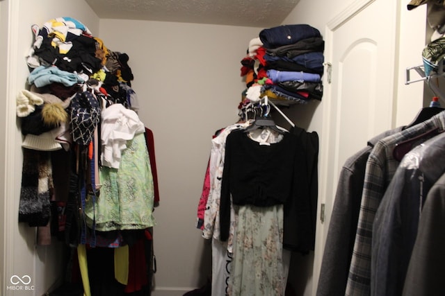 9068 Thames Dr, Avon, IN 46123 - view of spacious closet