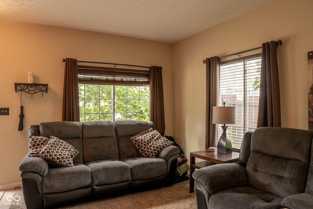 6585 Dunsdin Dr, Plainfield, IN 46168 - carpeted living room featuring healthy amount of natural light and a textured ceiling
