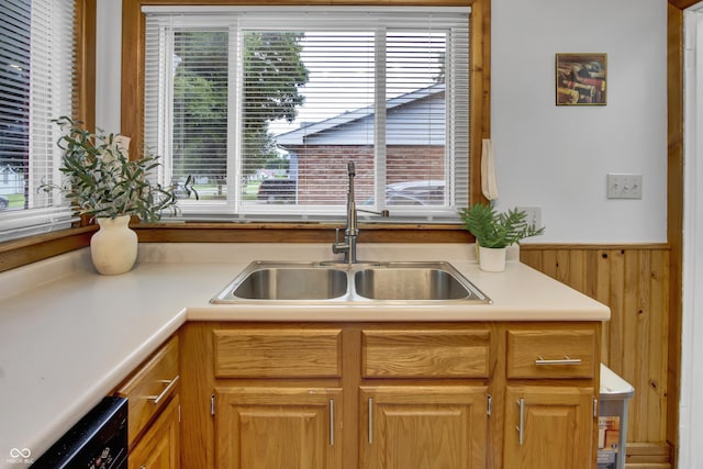 241 Wehmeier St, Columbus, IN 47201 - kitchen with light countertops, wainscoting, dishwasher, and wooden walls