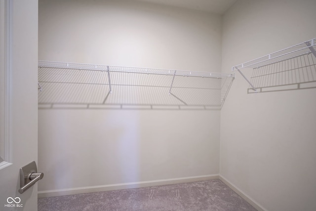 9728 Junction, Fishers, IN 46037 - walk in closet featuring carpet flooring