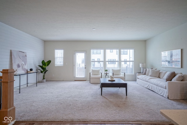 9728 Junction, Fishers, IN 46037 - carpeted living area with wood walls