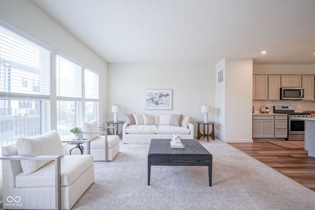 9728 Junction, Fishers, IN 46037 - living room featuring light colored carpet and recessed lighting