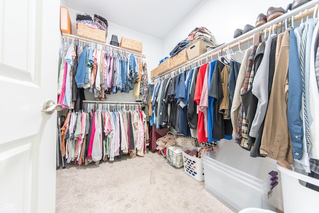 8090 N State Highway 7, Elizabethtown, IN 47232 - walk in closet featuring carpet