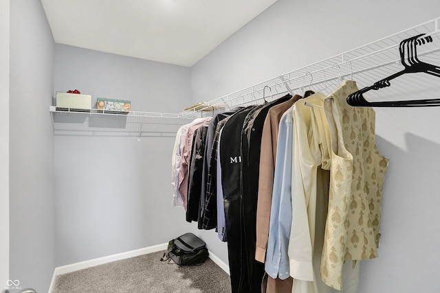 5812 Flat Hill Dr, Indianapolis, IN 46239 - spacious closet with carpet