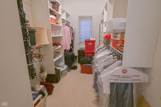 1870 Broadleaf Ct Unit 10, Greenwood, IN 46143 - walk in closet featuring carpet