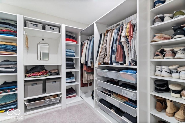 8547 Winton Pl, Pendleton, IN 46064 - spacious closet with carpet floors