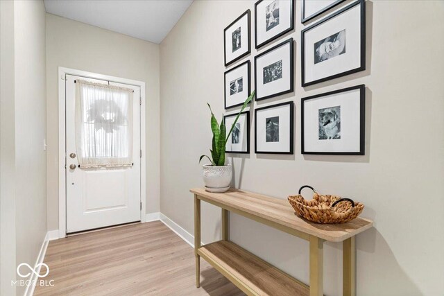 8547 Winton Pl, Pendleton, IN 46064 - entryway with light wood finished floors and baseboards