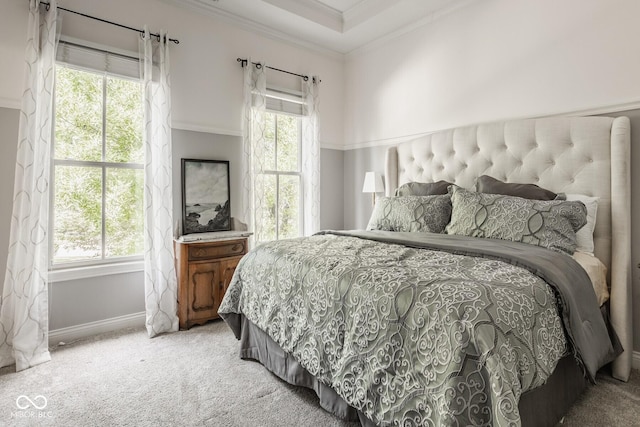12505 Branford St, Carmel, IN 46032 - carpeted bedroom with multiple windows and ornamental molding