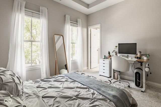 12505 Branford St, Carmel, IN 46032 - carpeted bedroom featuring multiple windows