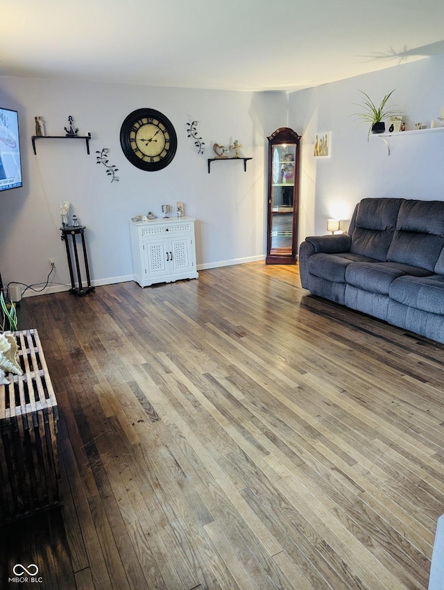 1207 E Main St, Centerville, IN 47330 - living area featuring wood finished floors