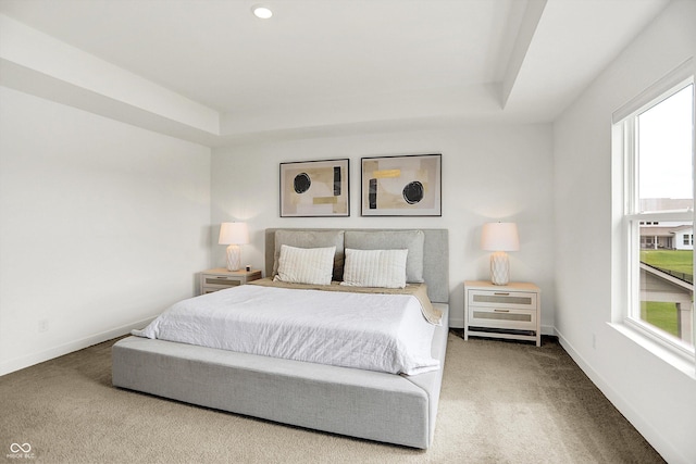 4250 Blackford Rd, Bargersville, IN 46106 - carpeted bedroom with a tray ceiling
