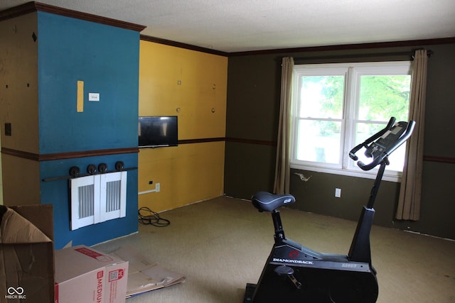 515 Hawthorne Ave, Anderson, IN 46011 - workout room with carpet floors and ornamental molding