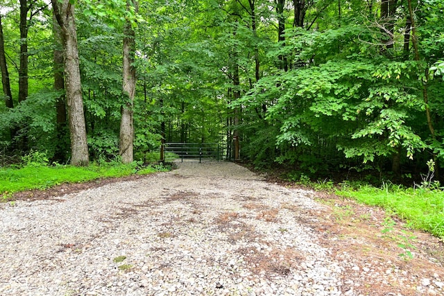 3861 N Kindred Rdg, Martinsville, IN 46151 - photo 4