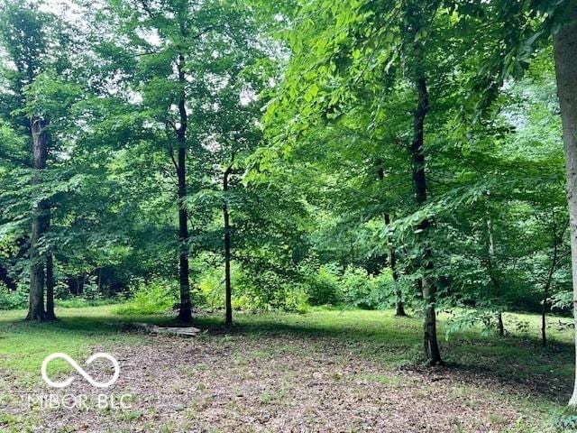 3861 N Kindred Rdg, Martinsville, IN 46151 - photo 10