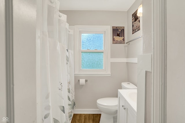 818 Vasbinder Dr, Chesterfield, IN 46017 - full bathroom featuring vanity, wood finished floors, and a shower with curtain