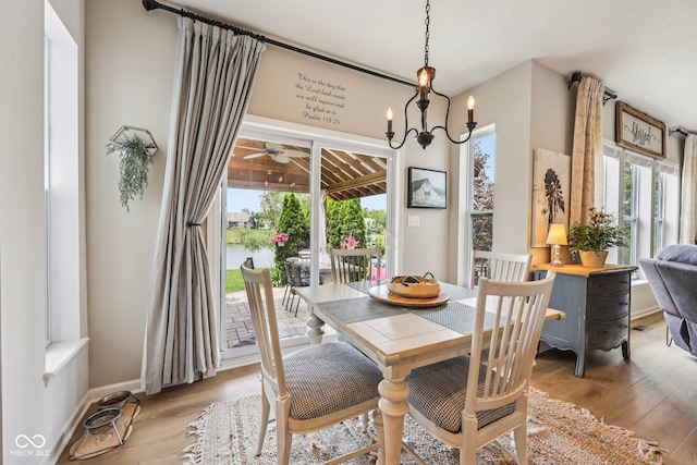 19281 Scofield Ridge Blvd, Westfield, IN 46074 - dining room featuring light wood-type flooring, a chandelier, and ceiling fan