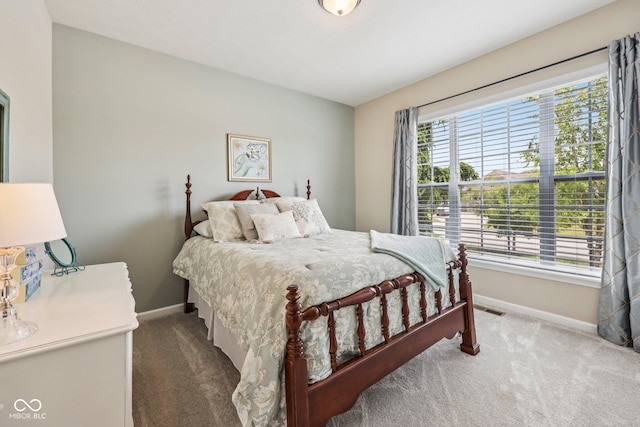 19281 Scofield Ridge Blvd, Westfield, IN 46074 - carpeted bedroom with baseboards
