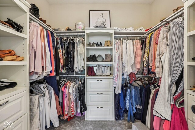 19281 Scofield Ridge Blvd, Westfield, IN 46074 - walk in closet featuring carpet flooring