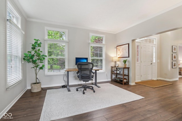 427 Quincy Pl, Westfield, IN 46074 - office with ornamental molding, dark wood-style flooring, and healthy amount of natural light