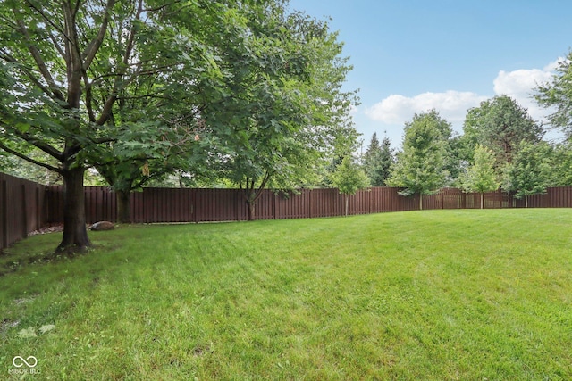 427 Quincy Pl, Westfield, IN 46074 - view of fenced backyard