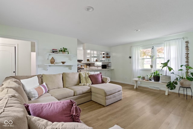 3841 Meridee Dr, Indianapolis, IN 46237 - living room featuring light wood finished floors and baseboards