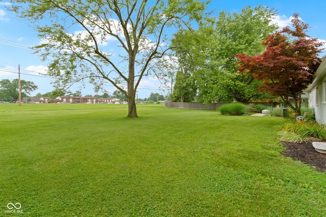 3841 Meridee Dr, Indianapolis, IN 46237 - view of yard