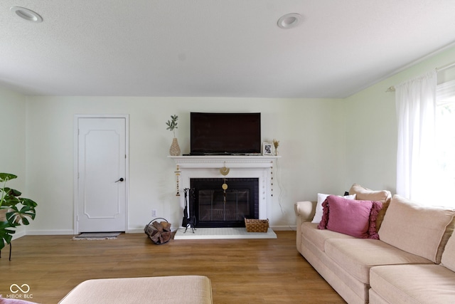 3841 Meridee Dr, Indianapolis, IN 46237 - living area featuring wood finished floors and a glass covered fireplace