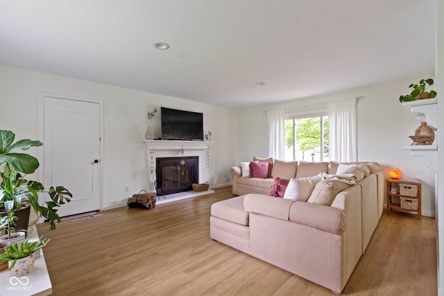 3841 Meridee Dr, Indianapolis, IN 46237 - living area featuring a glass covered fireplace, light wood-type flooring, and recessed lighting