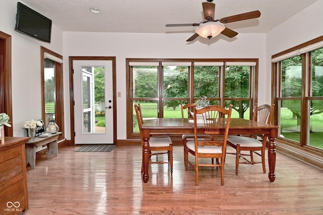 4670 N 600 E, Franklin, IN 46131 - photo 17