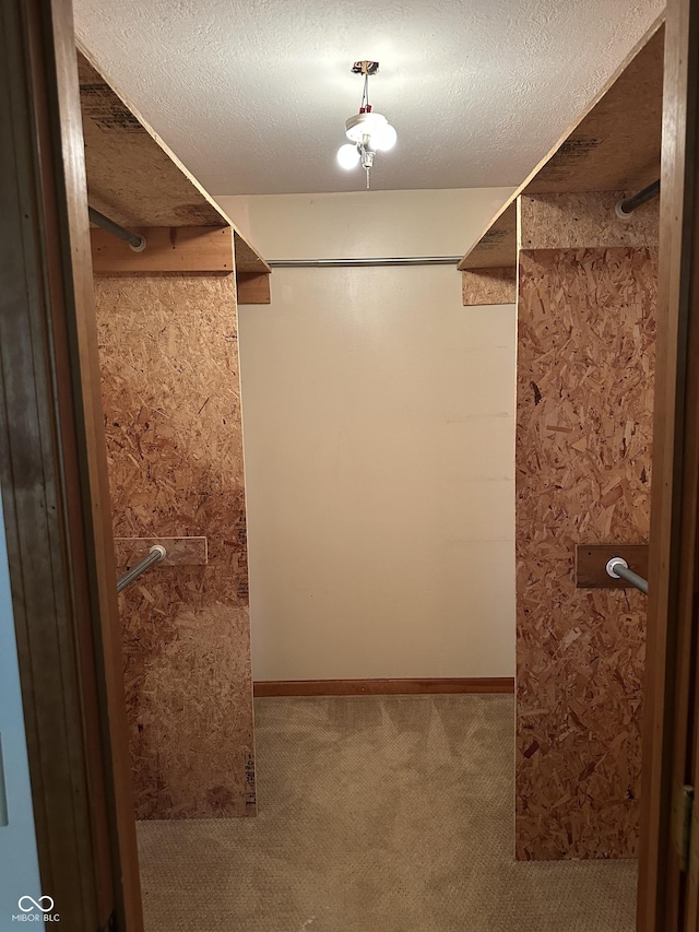 4673 S 400 W, New Palestine, IN 46163 - spacious closet with carpet floors