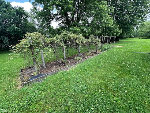 4673 S 400 W, New Palestine, IN 46163 - view of green lawn