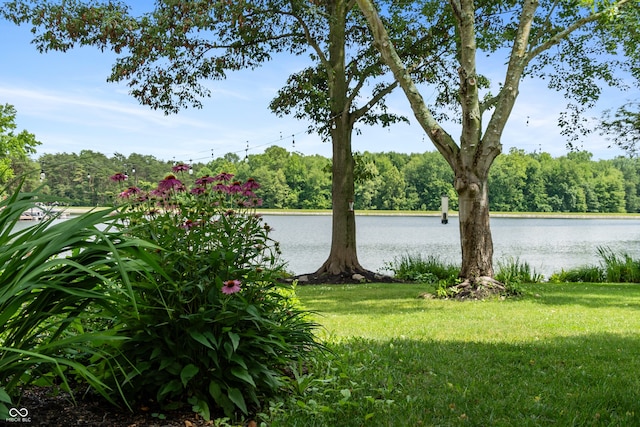 4443 Mallard Pt, Columbus, IN 47201 - view of green lawn with a water view and a forest view