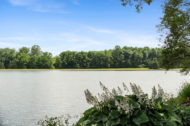4443 Mallard Pt, Columbus, IN 47201 - water view with a forest