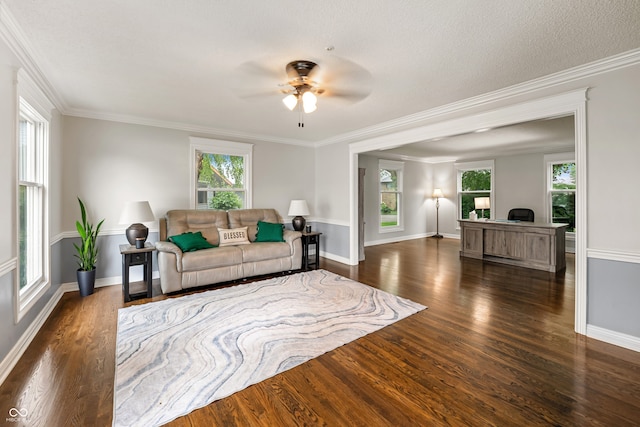 4443 Mallard Pt, Columbus, IN 47201 - living room featuring a ceiling fan, wood finished floors, and ornamental molding
