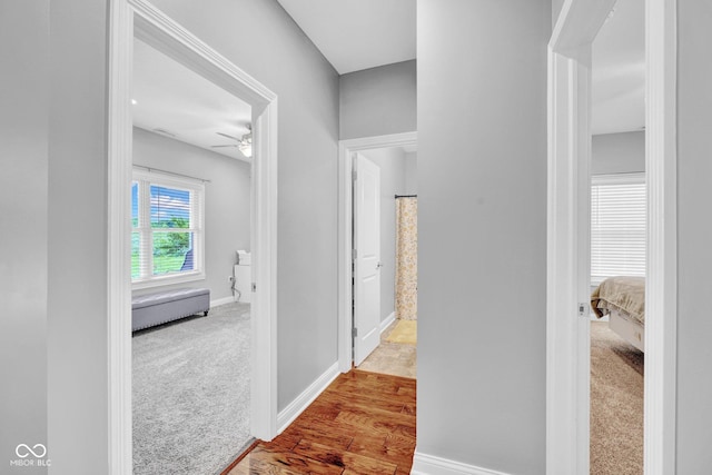 3072 W Glacier Dr, Monrovia, IN 46157 - corridor featuring carpet and wood finished floors