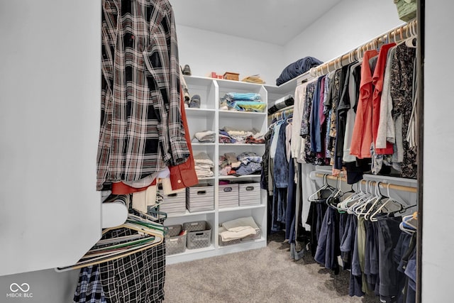 3072 W Glacier Dr, Monrovia, IN 46157 - walk in closet with carpet flooring
