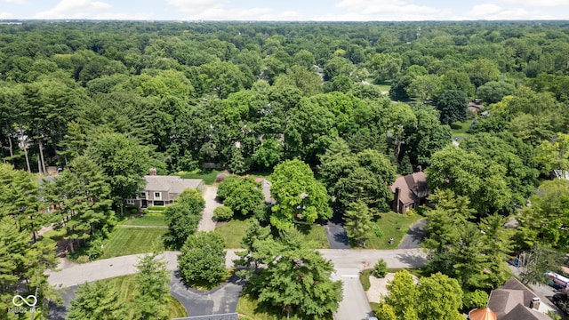 7629 Candlewood Ln, Indianapolis, IN 46250 - aerial view of a forest