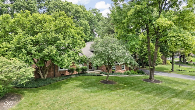 7629 Candlewood Ln, Indianapolis, IN 46250 - view of property's community with a lawn