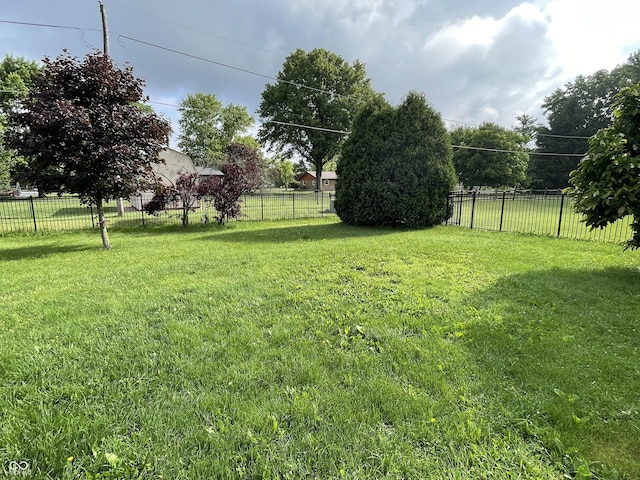 3610 Homestead Pl, Plainfield, IN 46168 - view of yard