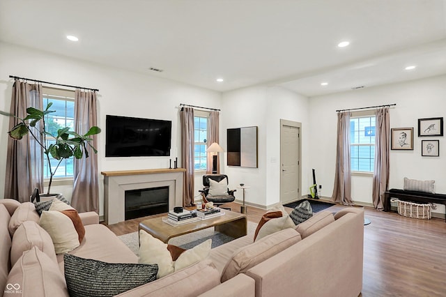 1046 N Hamilton Ave, Indianapolis, IN 46201 - living room with healthy amount of natural light, wood finished floors, recessed lighting, and a glass covered fireplace