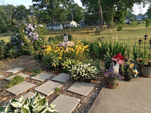 202 Collier St, Columbus, IN 47201 - view of yard
