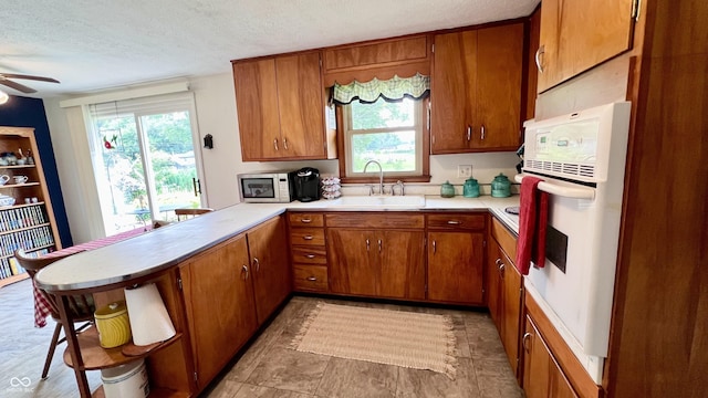 202 Collier St, Columbus, IN 47201 - kitchen with white appliances, a peninsula, brown cabinets, light countertops, and healthy amount of natural light
